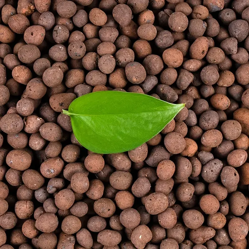 Sphagnum Moss Bag - 500 جرام/packGarden المائية توسيع الطين Pebbles15mm-20mm
