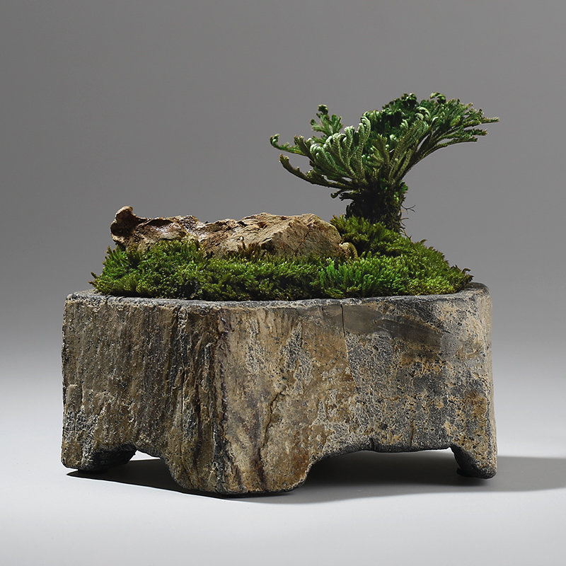 Bonsai Garden Indoor - وعاء زهور من الحجر البازلتي الطبيعي