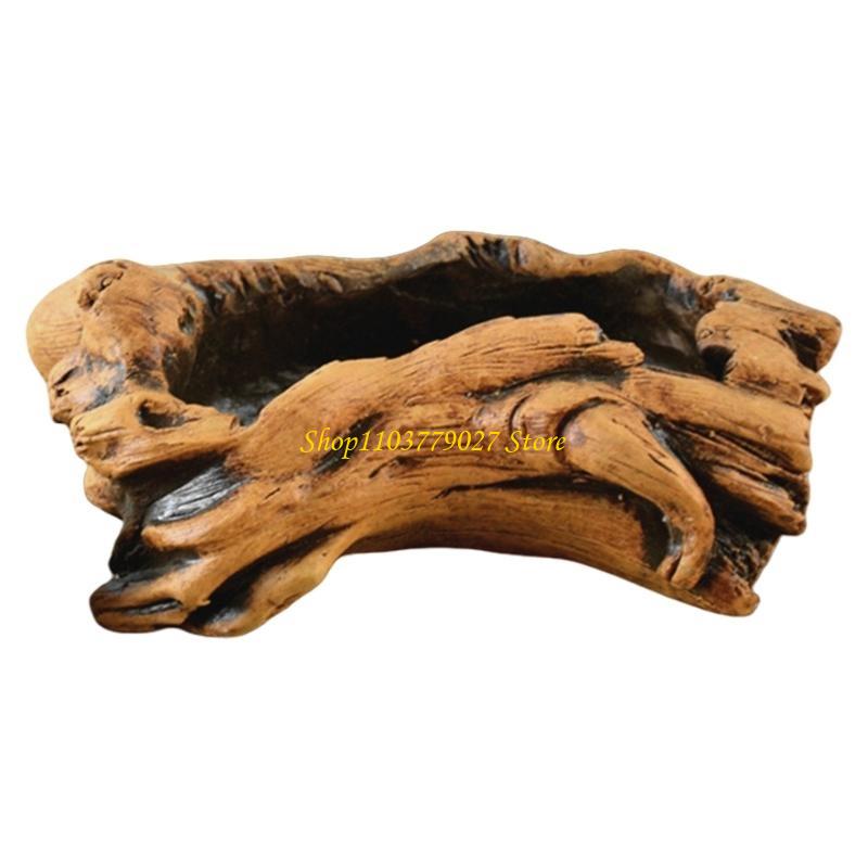 Bonsai Garden Design - C4DF ديكور خرساني عصاري زارع زهور