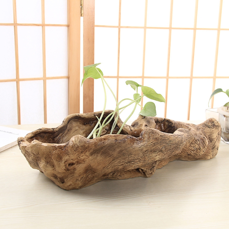 النمط الرعوي الرجعية المشهد ان - مراجعة Bonsai Tree Zen Garden وسعره