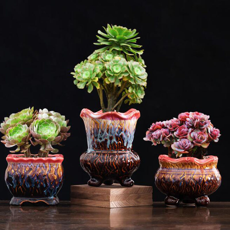 زهور مزججة مبتكرة ، وعاء نباتا - مراجعة Bonsai Tree Zen Garden وسعره