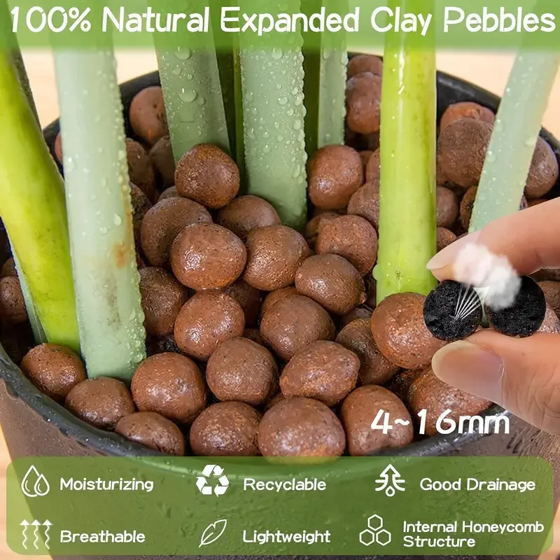 500 جرام/packGarden المائية تو - مراجعة Sphagnum Moss Bag وسعره