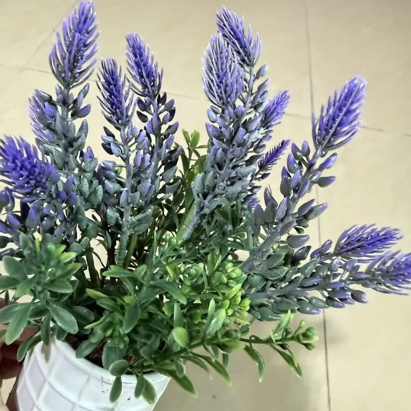 نبات لافندر صغير مزيف في أصيص  - مراجعة Bonsai Garden Indoor وسعره