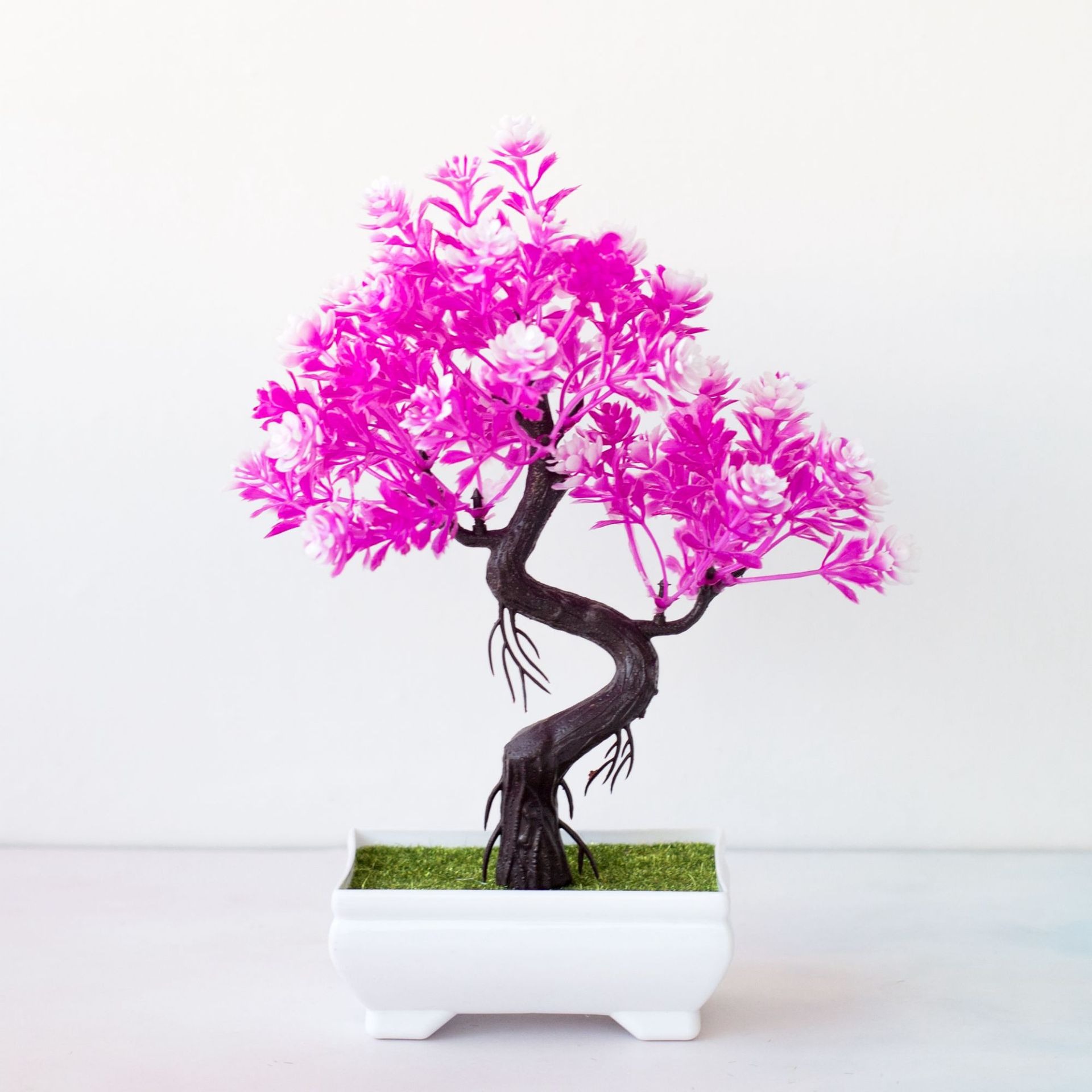 نبات بونساي صناعي صغير في وعاء - مراجعة Bonsai Tree Zen Garden وسعره