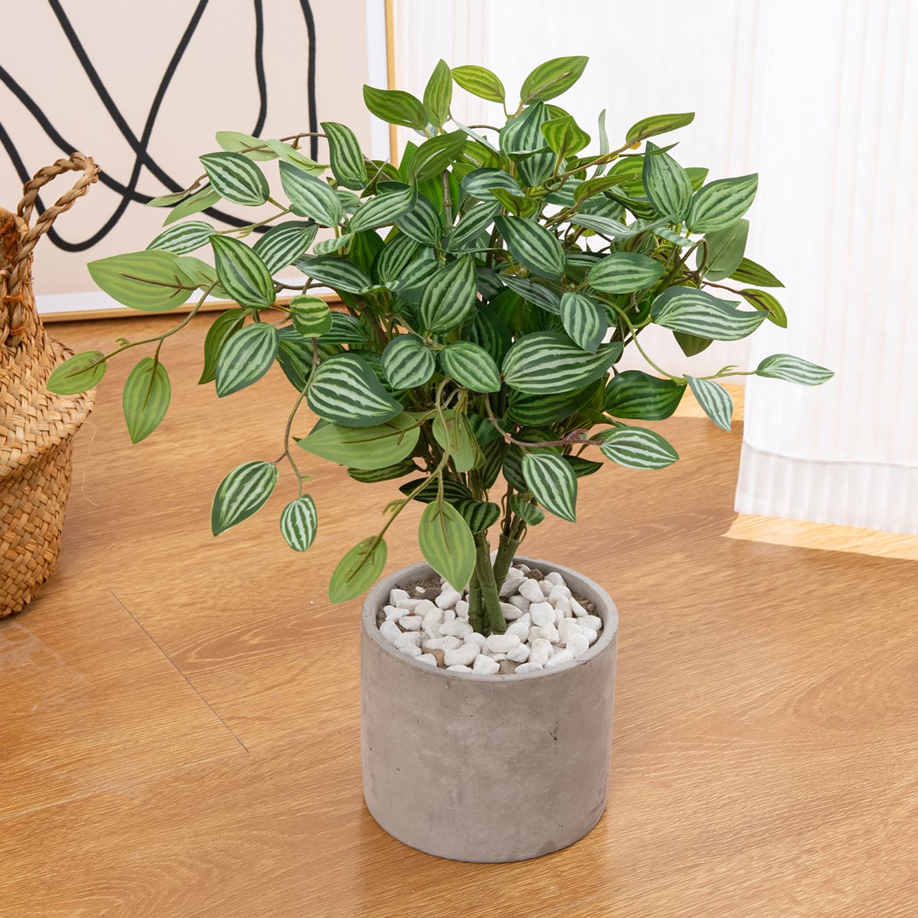 نبات بونساي اصطناعي أخضر للديك - مراجعة Bonsai Garden Indoor وسعره