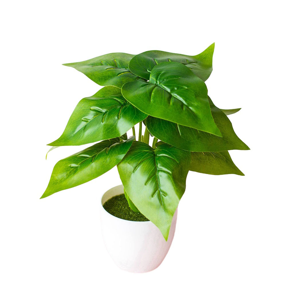 نبات اصطناعي واقعي في وعاء، مت - مراجعة Bonsai Garden Design وسعره