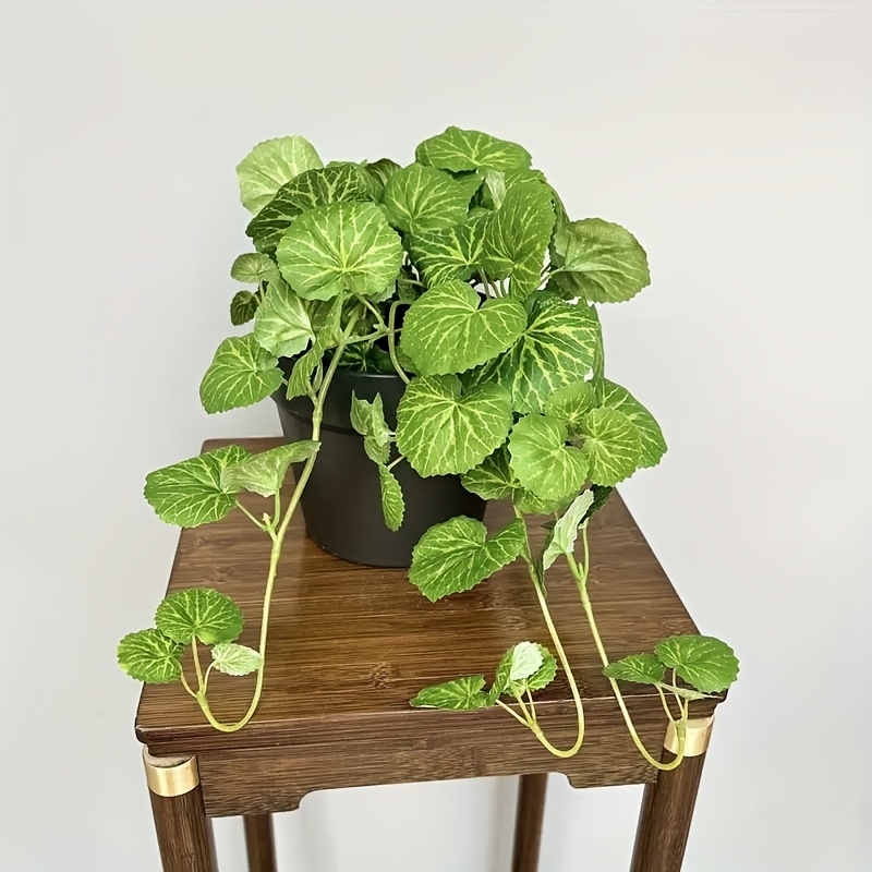 نبات صناعي معلق على شكل نبات م - مراجعة Bonsai Garden Indoor وسعره