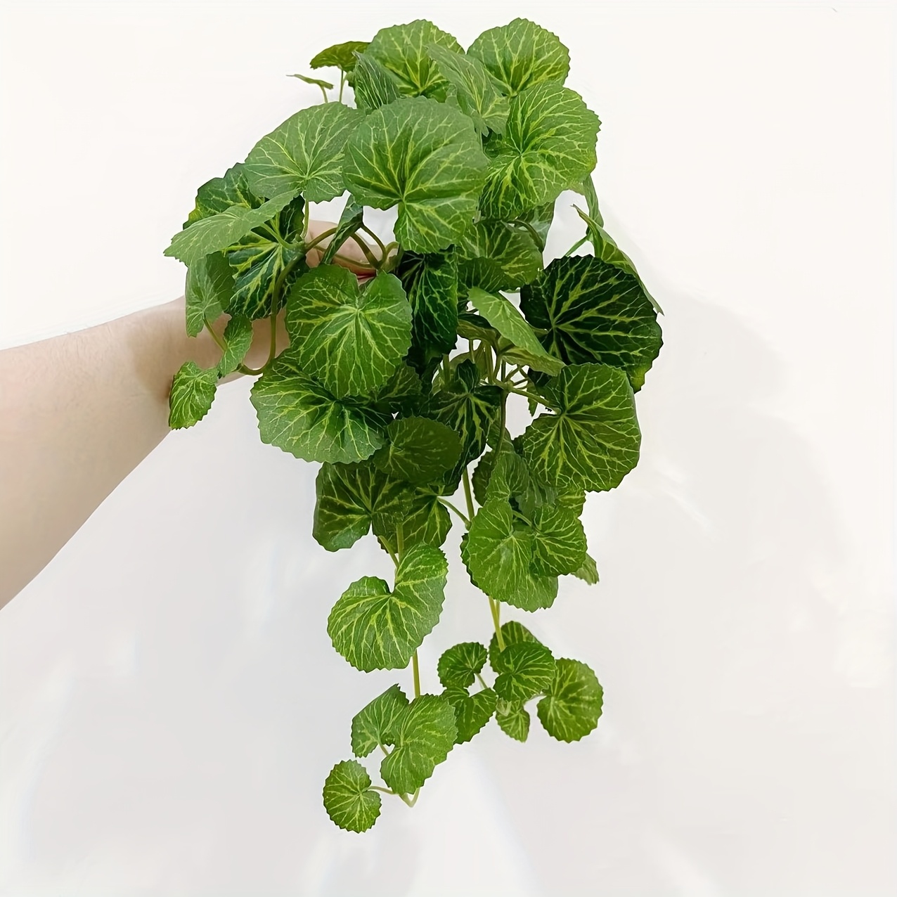 نبات صناعي معلق على شكل نبات م - مراجعة Bonsai Garden Indoor وسعره