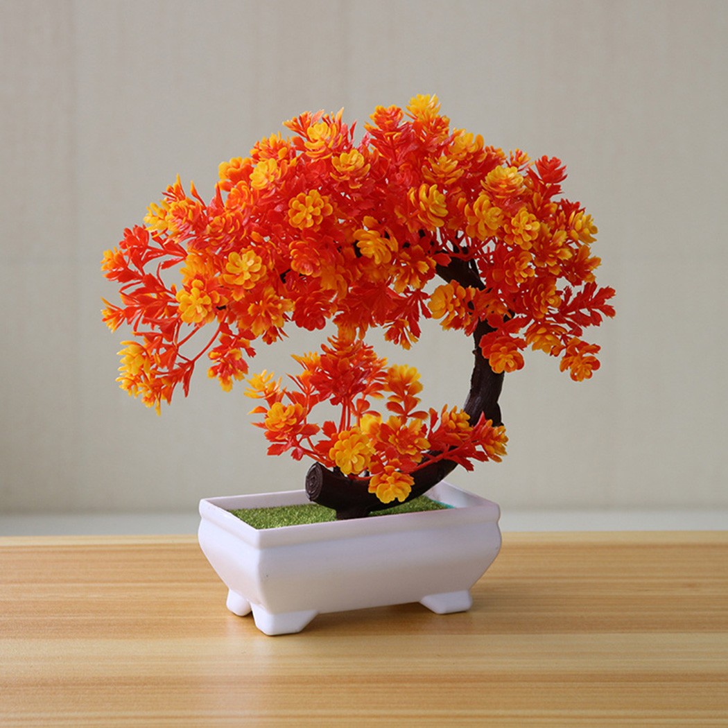 زينة بونساي بلاستيكية في وعاء  - مراجعة Bonsai Garden Indoor وسعره