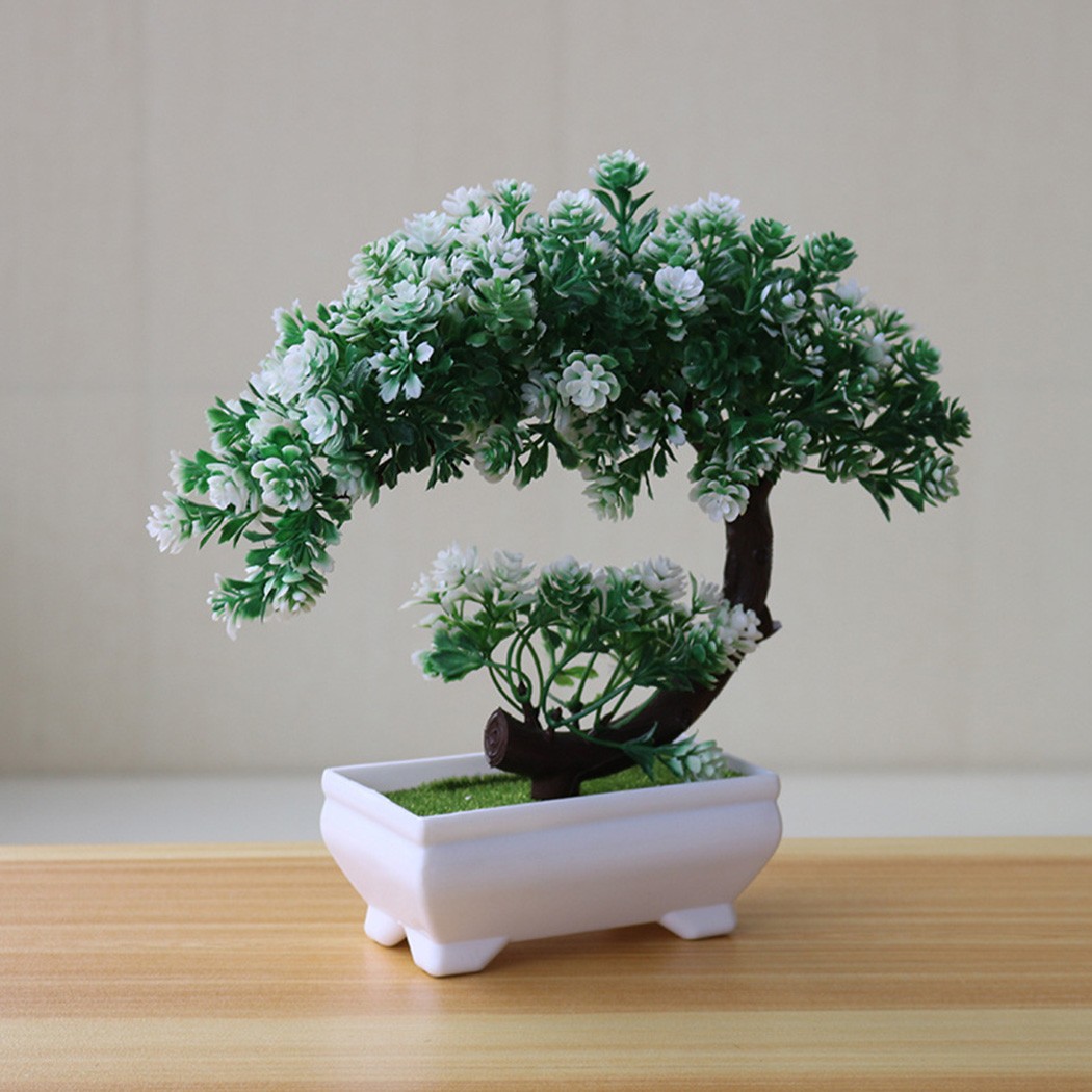 زينة بونساي بلاستيكية في وعاء  - مراجعة Bonsai Garden Indoor وسعره