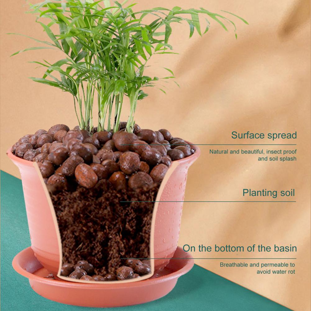 3.3 رطل حصى الطين للنباتات 12- - مراجعة Sphagnum Moss Bag وسعره