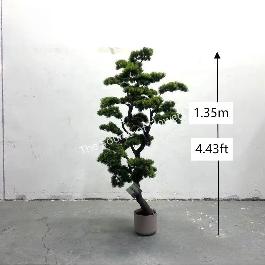 أشجار الأرز والصنوبر الاصطناعي - مراجعة Bonsai Garden Indoor وسعره