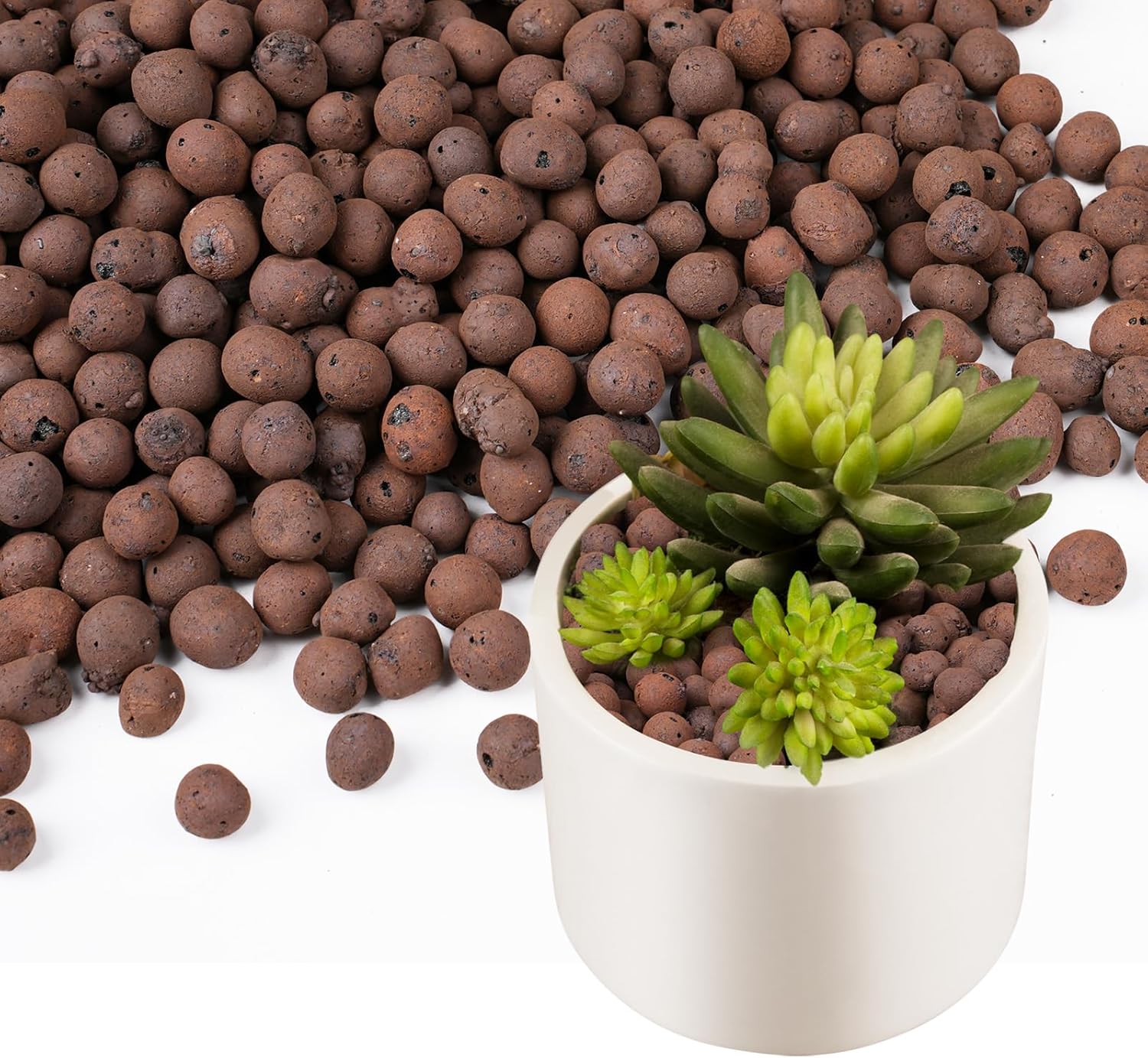حبيبات طينية خفيفة الوزن 100/2 - مراجعة Sphagnum Moss Bag وسعره