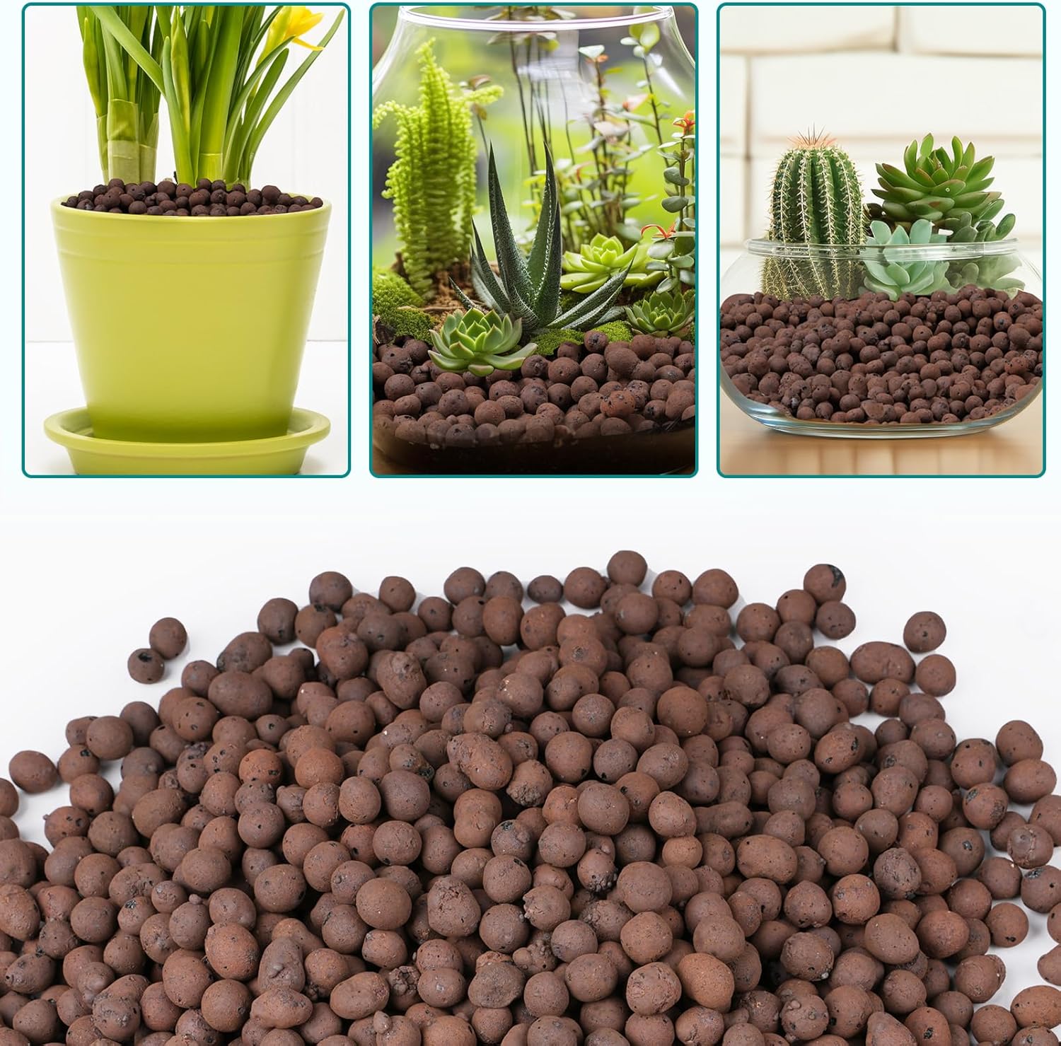 حبيبات طينية خفيفة الوزن 100/2 - مراجعة Sphagnum Moss Bag وسعره