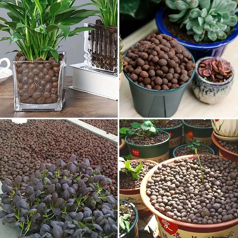 حبيبات طينية خفيفة الوزن 100/2 - مراجعة Sphagnum Moss Bag وسعره