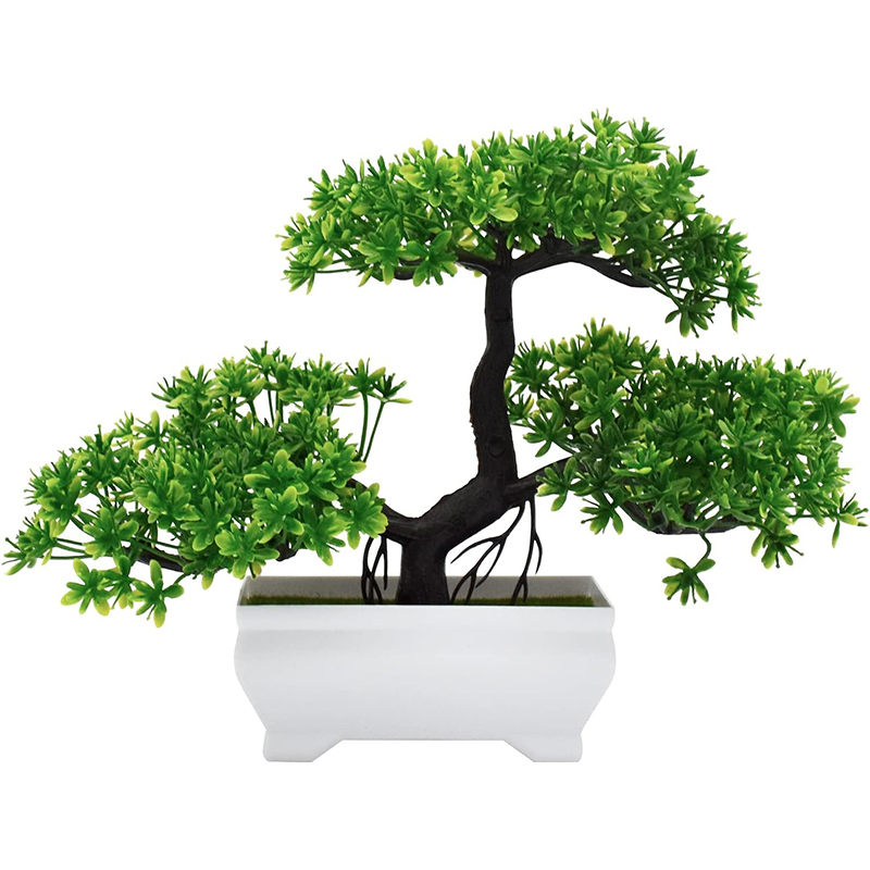 نبات صناعي بيونيك من البلاستيك - مراجعة Bonsai Garden Indoor وسعره