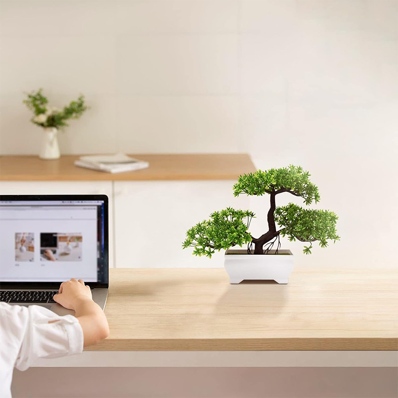 نبات صناعي بيونيك من البلاستيك - مراجعة Bonsai Garden Indoor وسعره