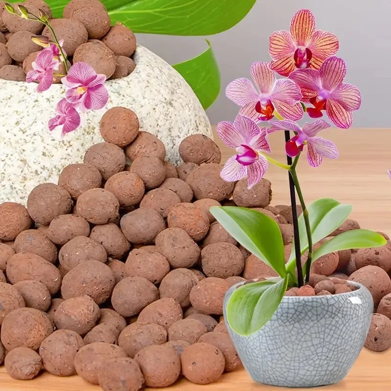 حبيبات طينية ممددة للزراعة الم - مراجعة Sphagnum Moss Bag وسعره